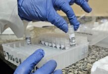 FVS RCP Informe Vírus Respiratórios FOTO Girlene Medeiros FVS RCP ()