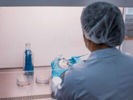Fapeam Edital empreendedorismo e pesquisa no AM Foto Divulgação Fapeam