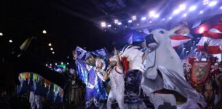 cultura carnaboi marcely gomes