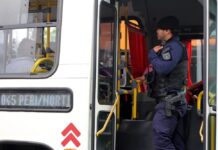 segurança transporte ()