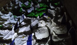 Adaf impede entrada de pimenta-de-cheiro no AM por risco de contaminação com mosca-da-carambola