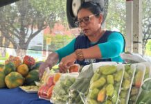 ADS Cronograma das Feiras do Governo do Estado Desta Semana Confira as Datas e Horários Foto Divulgação ADS