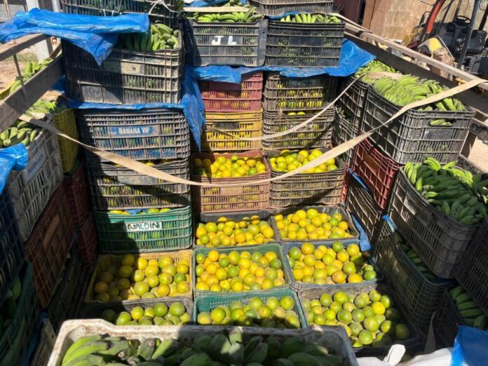 Adaf carga de laranjas estava oculta sob bananas