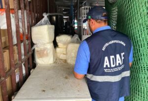 Mais de 80 kg de queijo clandestino são apreendidos no Amazonas e Adaf alerta para riscos à saúde