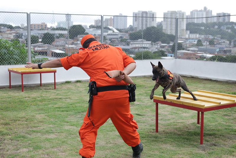 TREINAMENTO CÃES ARTHUR CASTRO SECOM ()