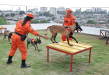 TREINAMENTO CÃES ARTHUR CASTRO SECOM ()