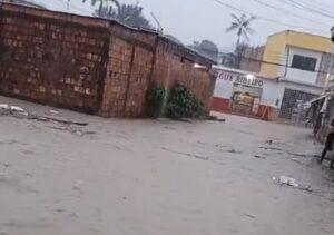 Defesa Civil registra 59 chamados após temporal em Manaus e reforça alerta à população