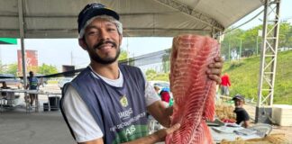 ADS FEIRÃO DO PESCADO FOTO DIVULGAÇÃO ()