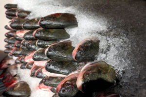 Mais de 300 toneladas de peixe são entregues a instituições no Amazonas durante a Semana Santa