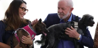 lula
