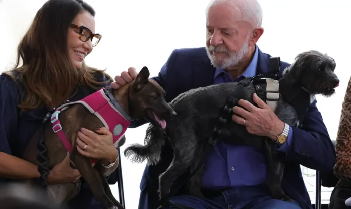 lula lula