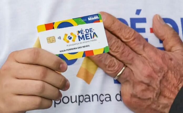 pe de meia lula () pe de meia lula ()