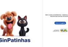 sinpatinhas
