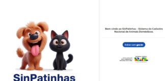sinpatinhas