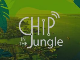 Chip in the Jungle ()