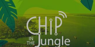 Chip in the Jungle ()