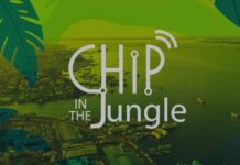 Chip in the jungle