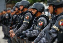 Secom Taxa Homici&# dio Foto Mauro Neto