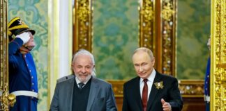 lula ()