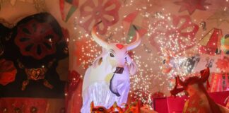 Festival de Parintins Garantido encerra apresentações do festival exaltando a cultura brasileira foto Mauro Neto Secom