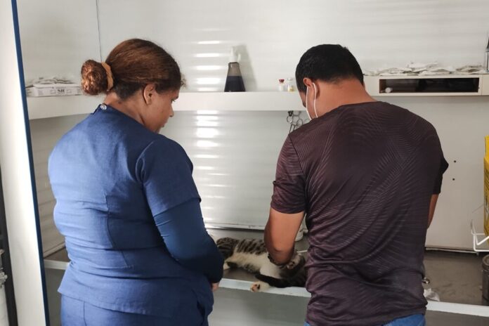 SEMSA MANAUS Calendário Vagas Castração ()