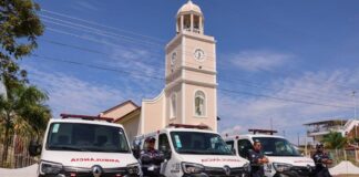 mauro neto secom festival parintins