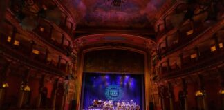 Cultura Amazonas Green Festival foto Aguilar Abecassis Secretaria de Estado de Cultura e Economia Criativa ()