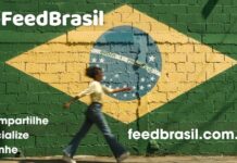 Feed Brasil a rede social brasileira que está conquistando os usuários