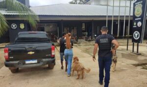 Criança de 8 anos sai da casa da mãe após ser estuprada pelo padrasto, volta a morar lá e é abusada novamente pelo homem