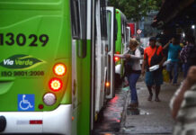 linhas de ônibus ()