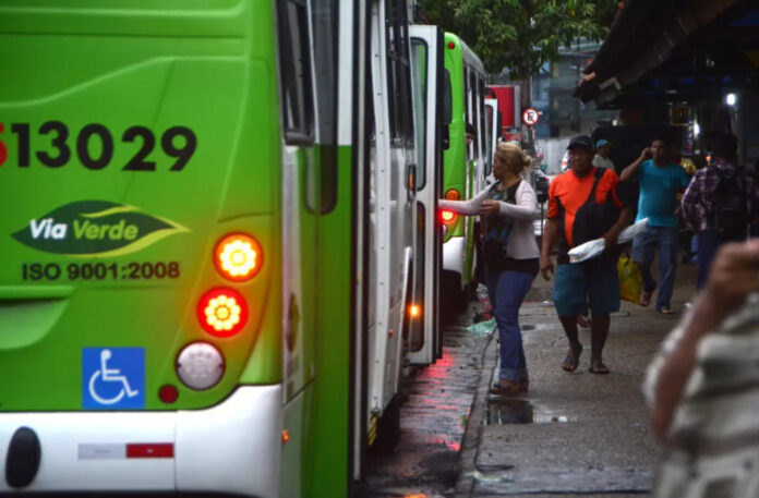 linhas de ônibus ()