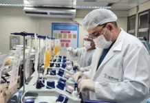 Hemoamplasma Foto LeonardoMotaVLD