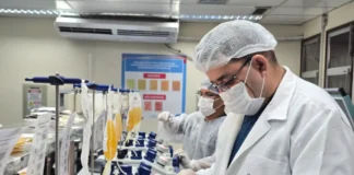 Hemoamplasma Foto LeonardoMotaVLD