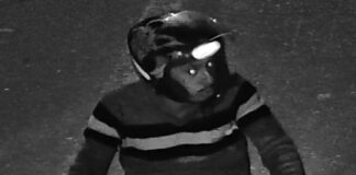 PCAM PROCURADO NÃO IDENTIFICADO DIVULGAÇÃO ()