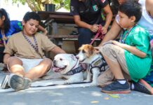 SEPcD Foto Arquivo Sejusc e PMAM ()