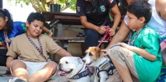 SEPcD Foto Arquivo Sejusc e PMAM ()