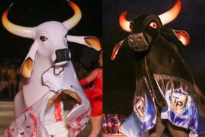 Manaus recebe pela primeira vez apresentação oficial do Festival Folclórico de Barreirinha