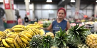 ADS Feira de Produtos Regionais na ª Expoagro Foto Ruth Jucá