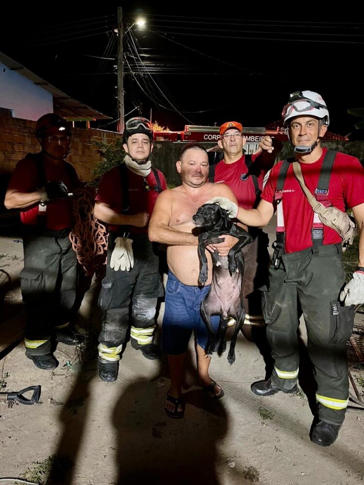 CBMAM RESGATE CACHORRO () CBMAM RESGATE CACHORRO ()