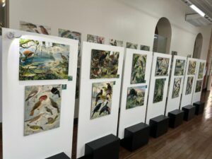 Exposição sobre a biodiversidade da Amazônia fica em Manaus até 14 de setembro