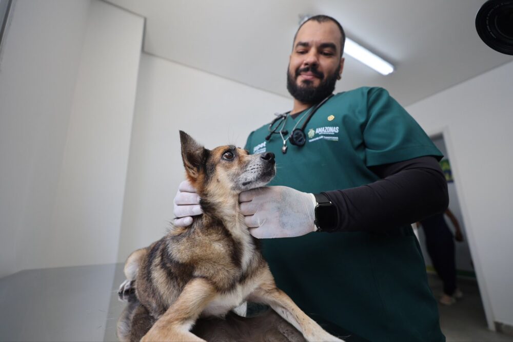 Atendimento Hospital Veterinário Foto Secom