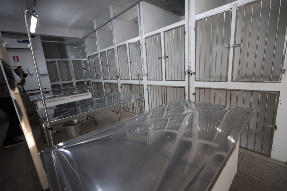 Atendimento Hospital Veterinário Foto Secom