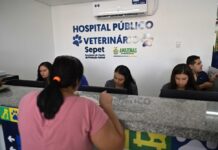 Atendimento Divulgação Sepet ()