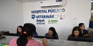 Atendimento Divulgação Sepet ()