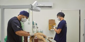 Atendimento Divulgação Sepet