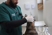 Hospital Veterinįrio Foto Mauro Neto Secom