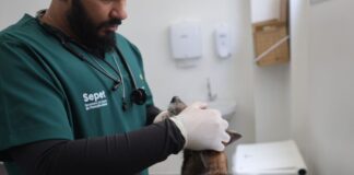 Hospital Veterinįrio Foto Mauro Neto Secom