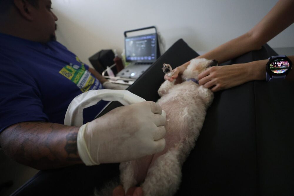 Hospital Veterinįrio Foto Mauro Neto Secom