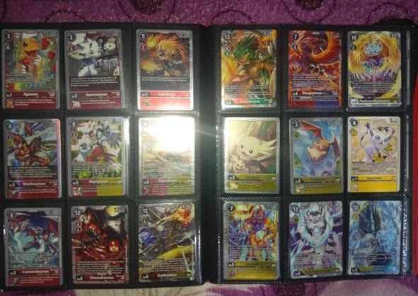 PCAM OBJETOS RECUPERADOS FOTO DIVULGAÇÃO () PCAM OBJETOS RECUPERADOS FOTO DIVULGAÇÃO ()