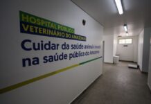 Hospital Veterinário Público em Manaus vai garantir consultas especializadas, cirurgias e exames laboratoriais SECOM HOSPITAL VETERINÁRIO